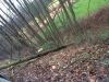 Technische Hilfe